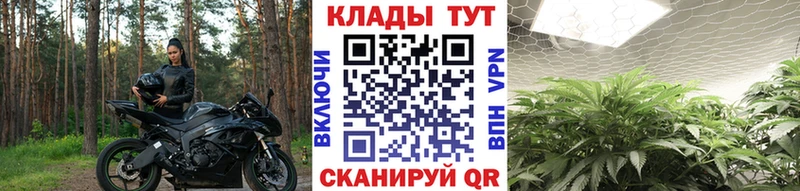 Виды наркотиков купить Назарово Кокаин  Alpha PVP  МДМА  Конопля  MEGA tor  ГАШ  Меф мяу мяу 