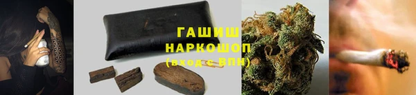 сатива Волоколамск