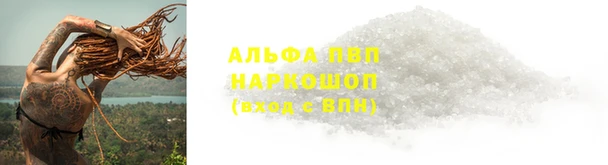 сатива Волоколамск