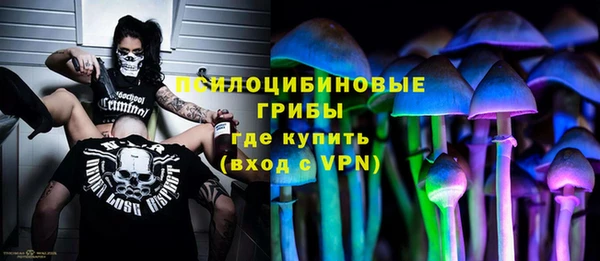 амф Вязьма